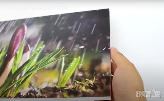 Лот от 6 картини в размер 25х35 см за детска стая, животни, пвц пана със закачалки, снимка 4 - Други - 48902066