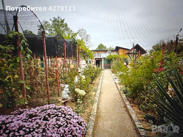 Къща в Старо село, Враца ОТ СОБСТВЕНИК, снимка 12 - Къщи - 54157700