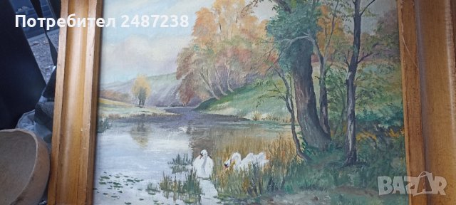 Картина масло,лебеди от Павликенска околия, снимка 5 - Картини - 39514995