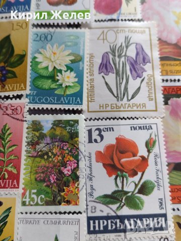 Пощенски марки серия ЦВЕТЯ поща България, Югославия редки за КОЛЕКЦИЯ 22659, снимка 7 - Филателия - 40316538