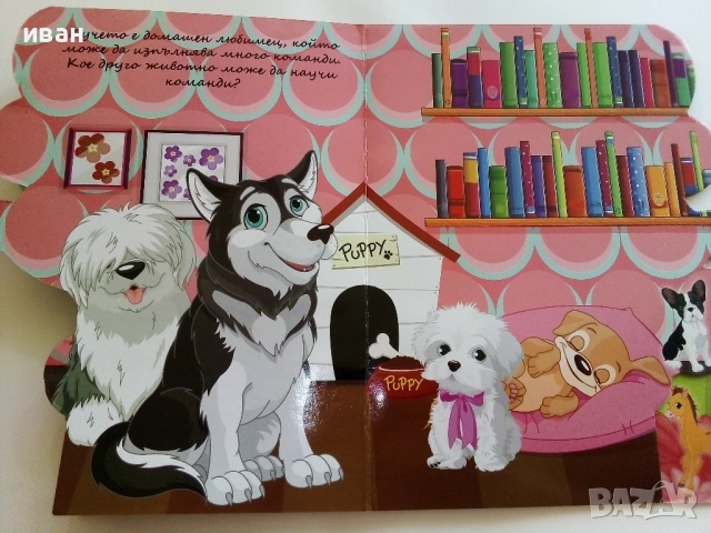 Картинна книжка "Научавам за домашните любимци", снимка 4 - Детски книжки - 51500017