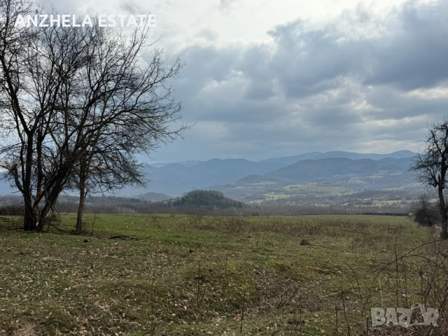 🏡 ПРОДАВА СЕ ИМОТ С ПАНОРАМНА ГЛЕДКА КЪМ ЯЗОВИР СОПОТ – С. ГОЛЯМА ЖЕЛЯЗНА, снимка 4 - Парцели - 53958452