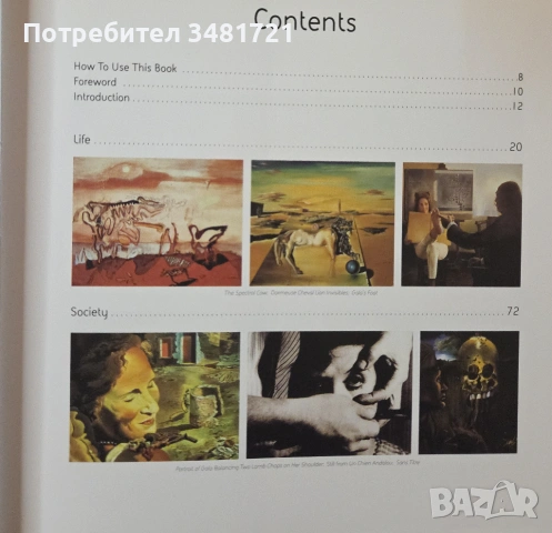 Дали - живот и дело / Dalí, снимка 2 - Енциклопедии, справочници - 54244578