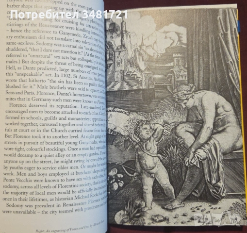 Sexuality. A History of Human Sexuality from Ancient Greece to the Modern Age, снимка 3 - Художествена литература - 53251095
