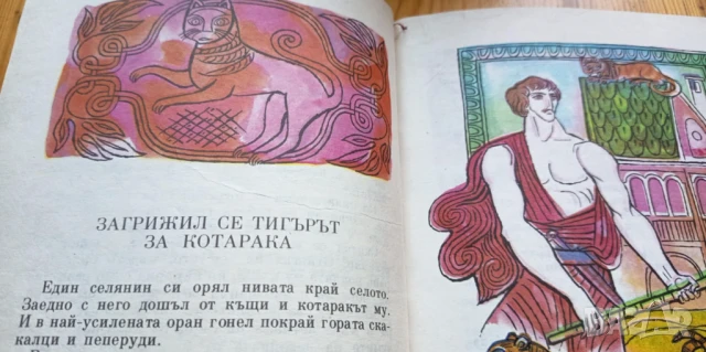 Чудна земя - грузински народни приказки, снимка 2 - Детски книжки - 51184699