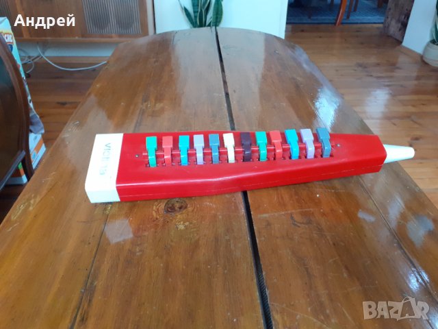 Стара Виолина,Violina