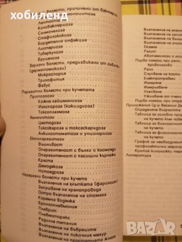 Знаете ли всичко за кучето, снимка 3 - За кучета - 42750826