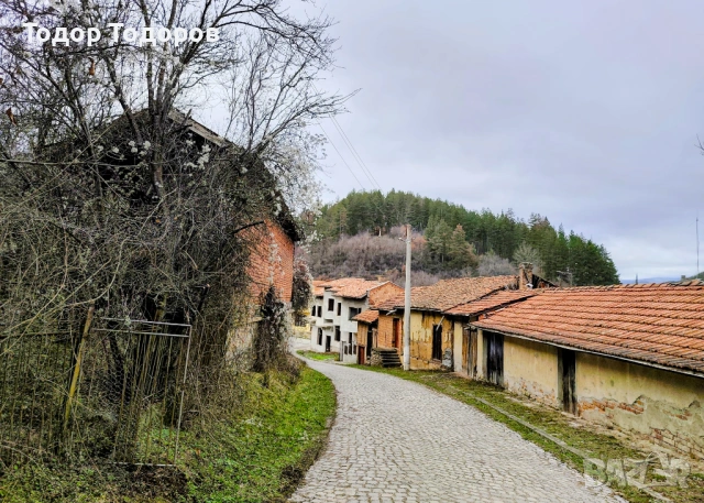 Парцел в с. Дивля, област Перник, снимка 16 - Парцели - 54305864