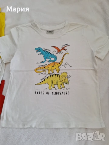 Тениски и шорти 5-6 г - 4 лв брой, снимка 3 - Детски тениски и потници - 51080032