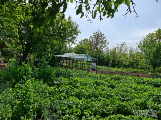 Продавам къща в кв. Бряг, снимка 10 - Къщи - 50384874