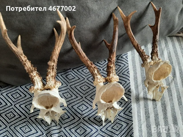 красиви сръндаци, снимка 6 - Антикварни и старинни предмети - 55813938