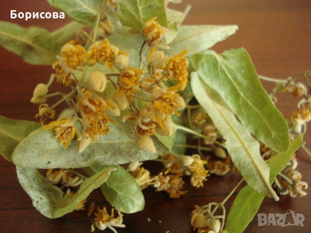 Продавам липов цвят, снимка 2 - Хранителни добавки - 32094930