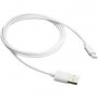 Кабел USB Type C към USB 2.0 CANYON CNE-USBC1W Бял, 1м USB Type C to USB 2.0 M/M, снимка 1 - USB кабели - 30473245