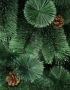 Страхотни гъсти коледни елхи! , снимка 3