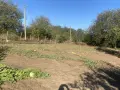 дворно място без постройка, снимка 2