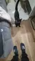 Подарявам котка, снимка 2
