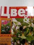 Списание "Цветя и дом", снимка 2