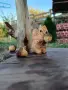 Маса - ръчна изработка , снимка 6