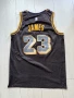 LA Lakers LeBron James #23 Nike Wish NBA Swingman фланелка - Размер: 48, снимка 2