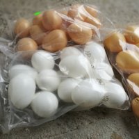 Изкуствени пластмасови яйца за кокошки, снимка 3 - За птици - 35279498