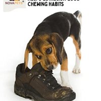 Нова естествена играчка за куче дъвчене Обучение на домашни любимци, снимка 5 - За кучета - 40333735