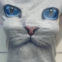 Нова дамска сива тениска с 3D принт Котка със сини очи, снимка 11 - Тениски - 29126621