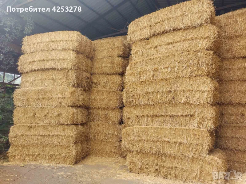 Продавам бали пшеничена слама – реколта 2025 г., снимка 1