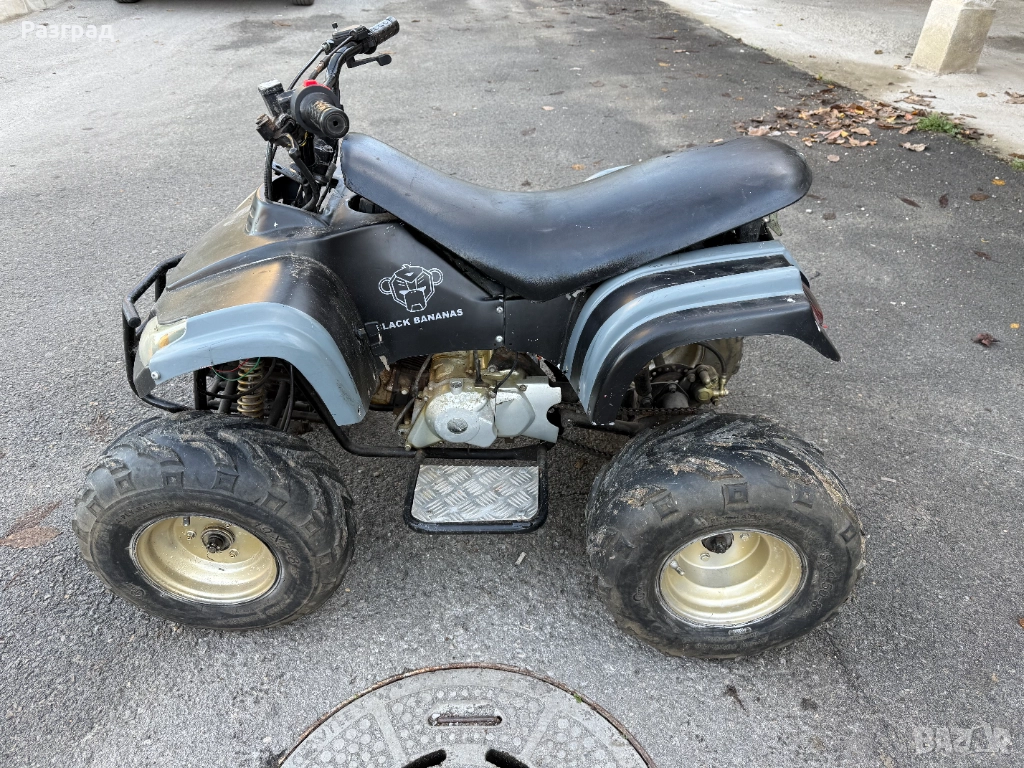 АТВ/ATV 110 кубика  BLACK BANANAS, снимка 1