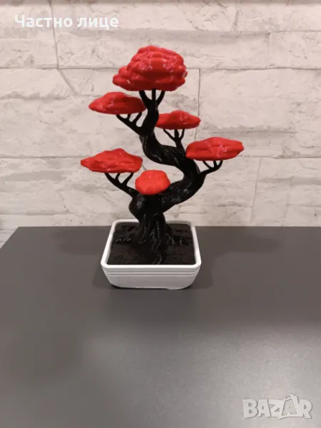 Бонсай - сувенир (+подарък), снимка 1
