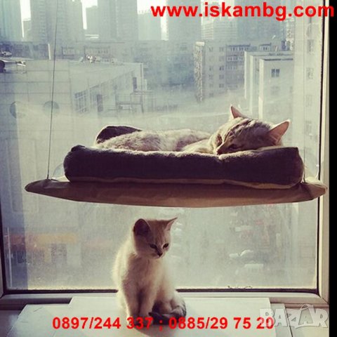 КОТЕШКО ЛЕГЛО ЗА ПРОЗОРЕЦ SUNNY SEAT - КОД 1484, снимка 9 - За котки - 29607314
