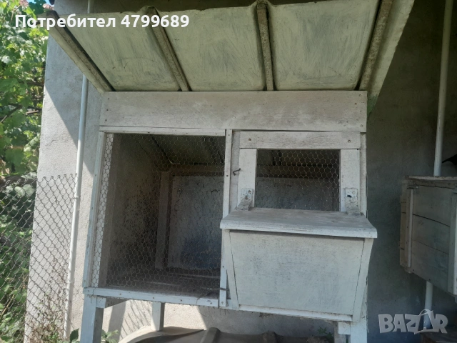 Зайчарници