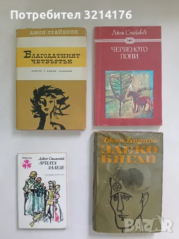 Заеко бягай - Джон Ъпдайк (1967), снимка 1 - Художествена литература - 56311720