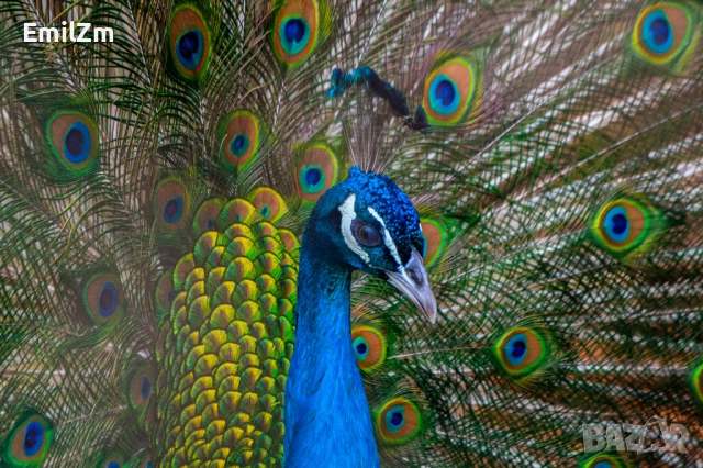 Фотоапарат Canon 350D, снимка 10 - Фотоапарати - 52166517