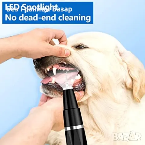 Нов Професионален уред за почистване на зъби за домашни любимци, USB, снимка 3 - За кучета - 47374140