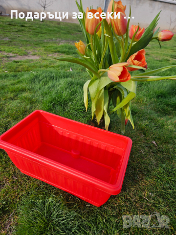 Цветни сандъци за цветя 30см! Промоция 7бр цветни сандъци за 19.90лв, снимка 2 - Саксии и кашпи - 44707404