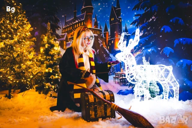 Harry Potter Шапка,Сова,снич и метли Nimbus 3000, снимка 5 - Подаръци за рожден ден - 55955413
