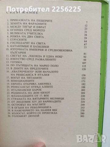 Чудната история на изкуството, снимка 8 - Специализирана литература - 54208671