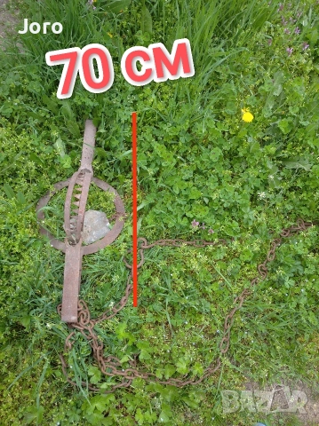 голям стар вълчи капан