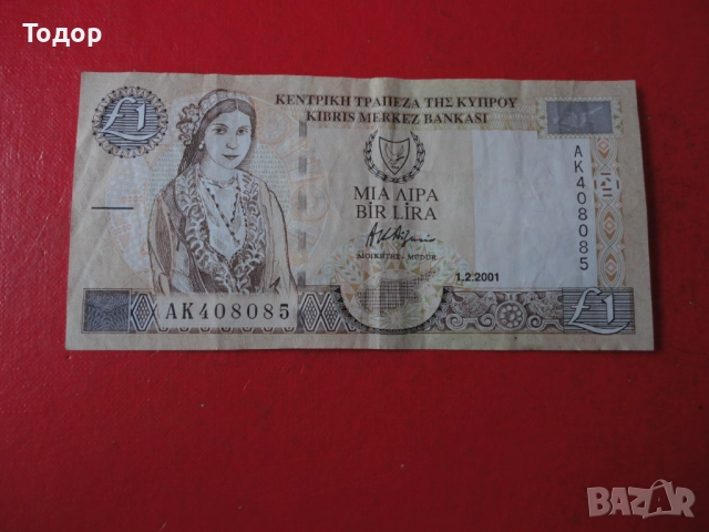 1 Паунд 2001 Кипър 8, снимка 3 - Нумизматика и бонистика - 52833481
