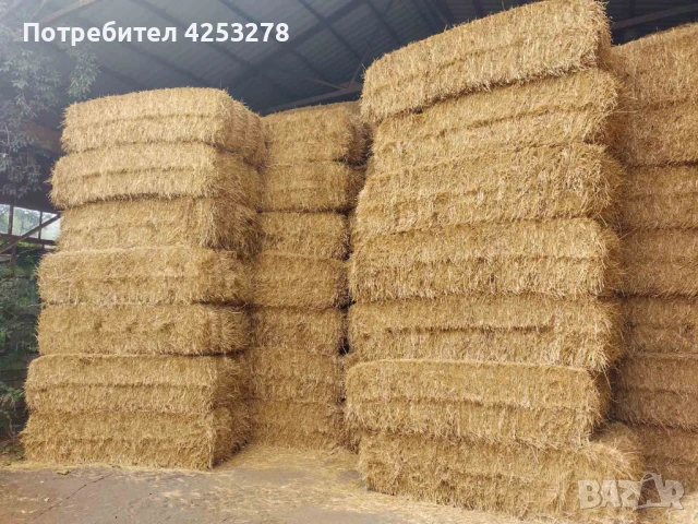 Продавам бали пшеничена слама – реколта 2025 г.