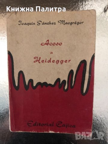  Acoso a Heidegger-JOAQUÍN SÁNCHEZ MACGRÉGOR 