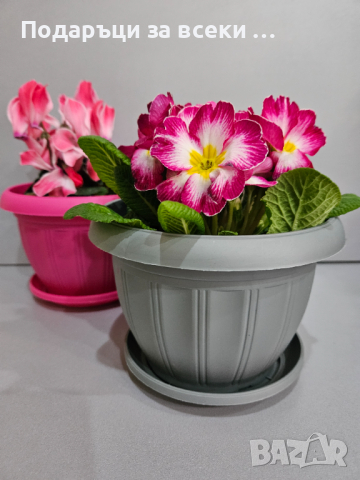 ПРОМОЦИЯ! 10 цветни саксии за 14.90 КРАСИВИ ЦВЕТНИ САКСИИ ЗА ВАШИТЕ ЦВЕТЯ, снимка 6 - Саксии и кашпи - 43453269