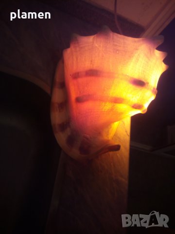 Нощна лампа от голяма раковина, снимка 2 - Антикварни и старинни предмети - 29492075