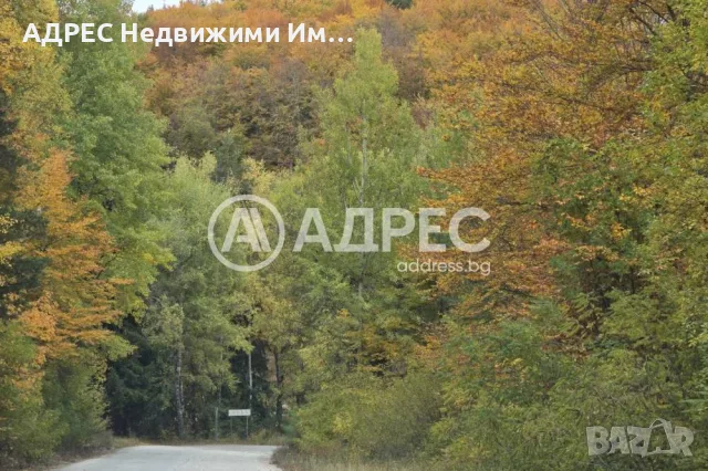 Заведение/Ресторант, продажба, Смилян, снимка 18 - Заведения - 55787471