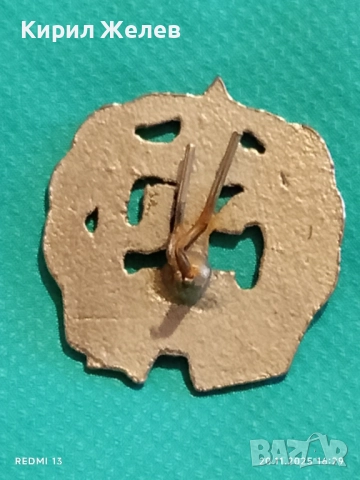 ВИНТИДЖ УЧЕНИЧЕСКА КОКАРДА от соца СТУ СОФИЯ за КОЛЕКЦИЯ 52291, снимка 6 - Други ценни предмети - 52481604