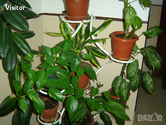 Sony Cyber-shot DSC-P73, снимка 15 - Фотоапарати - 54222919