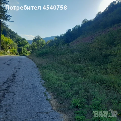 Земеделска земя , снимка 4 - Земеделска земя - 51105560