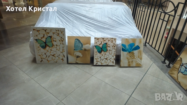 Разпродажба! Картини пеперуди, снимка 2 - Картини - 52328431