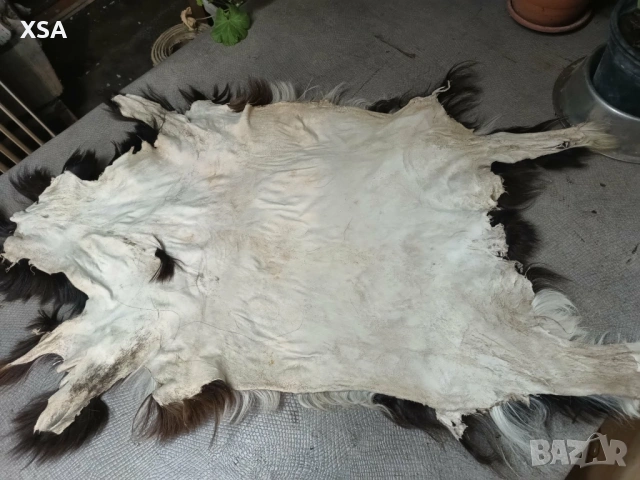 Естествени кожи от коза, снимка 14 - Други ценни предмети - 52265860