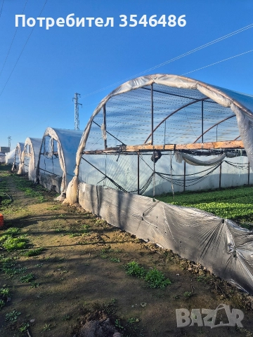 Отдавам под наем оранжерии, снимка 3 - Земеделска земя - 52813629